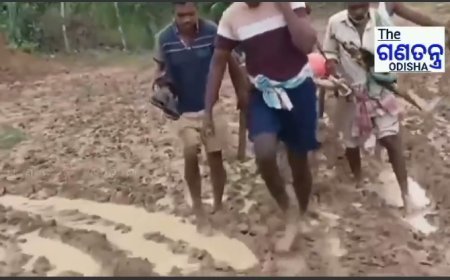 #ଖଟିଆରେ_ବୁହାହୋଇ_ନଦୀ_ପାର୍_ହେଲେ_ରୋଗୀ ବାଲିଗୁଡ଼ା: ପୁଣି ଖଟିଆରେ ବୁହା ହୋଇ ନଦୀ ପାର୍ ହେଲେ ଗୁରୁତର ରୋଗୀ କ.ନୂଆଗାଁ ବ୍ଲକ ମହସିଙ୍ଗି ପଞ୍ଚାୟତ କୁବେରମୁଣ୍ଡା ଗାଁରୁ ଆସିଲା ଦୁର୍ଦ୍ଦଶାର ଚିତ୍ର ଗାଁକୁ ରାସ୍ତା ନ ଥିବା ଯୋଗୁଁ ଦୋଳା କରି ଖଟିଆରେ ଖଡ଼ଗ ନଦୀ ପାର୍‌ ହେଲେ  #Balliguda #Kandhamal #theganatantraodisha #Odisha #BreakingNews #LatestNews