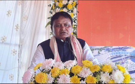 #ବିଚାର_ବିଭାଗୀୟ_ତଦନ୍ତ_ନିର୍ଦେଶ